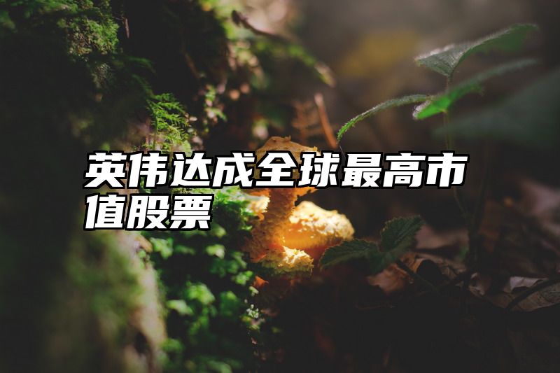 英伟达成全球最高市值股票