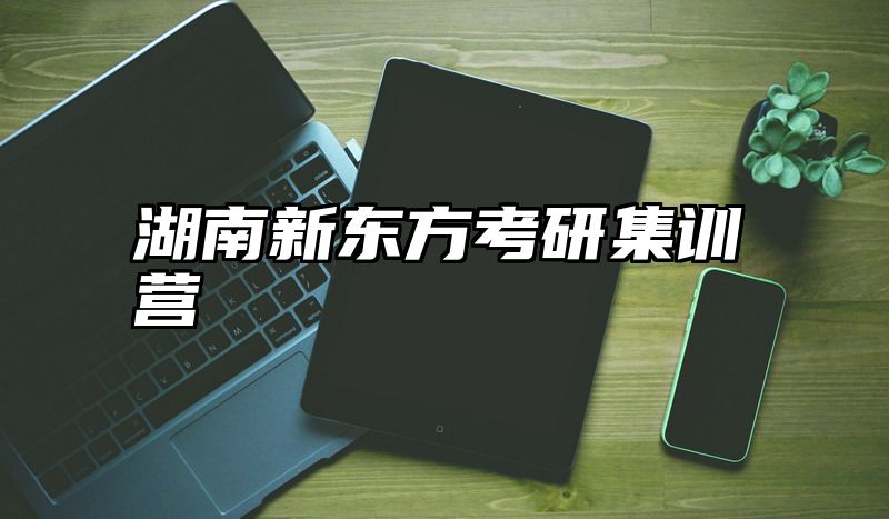 湖南新东方考研集训营