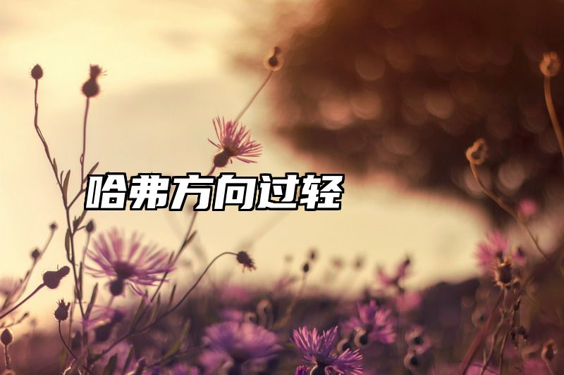 哈弗方向过轻