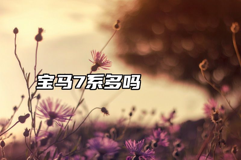 宝马7系多吗