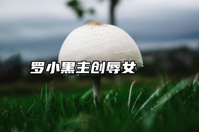 罗小黑主创辱女