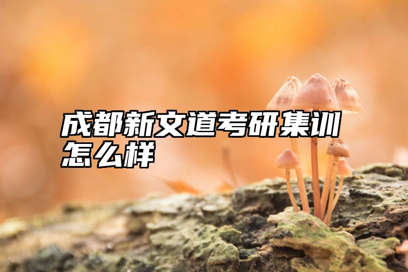 成都新文道考研集训怎么样
