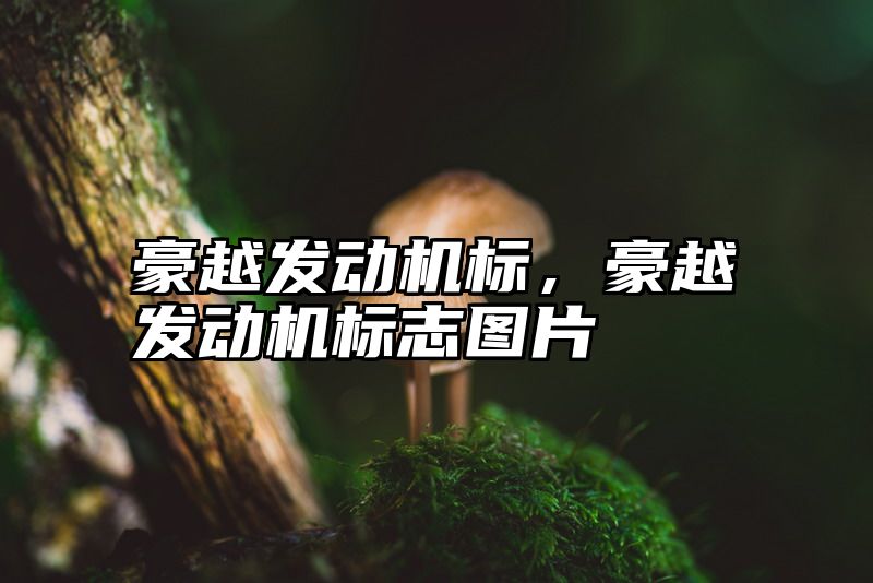 豪越发动机标，豪越发动机标志图片
