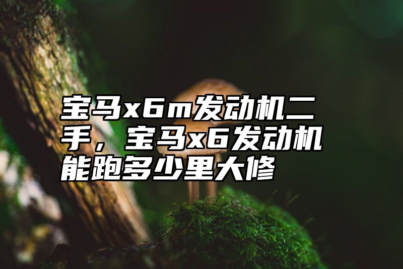 宝马x6m发动机二手，宝马x6发动机能跑多少里大修