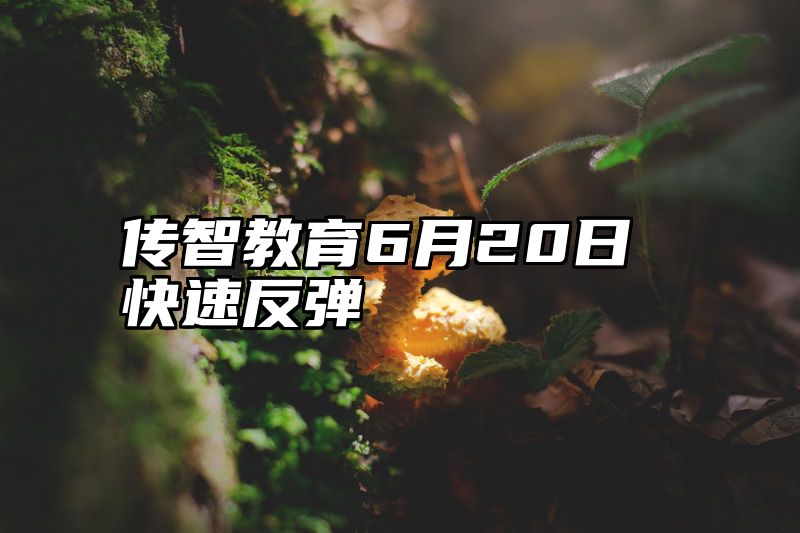 传智教育6月20日快速反弹
