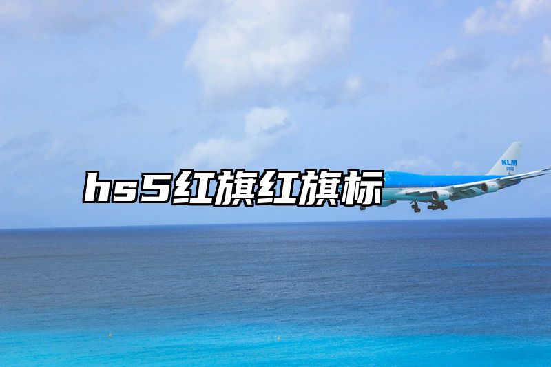 hs5红旗红旗标