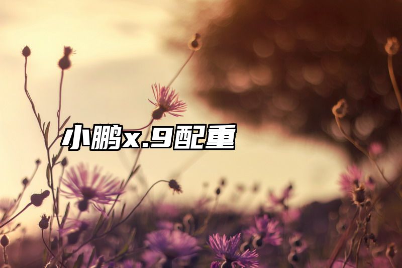 小鹏x.9配重