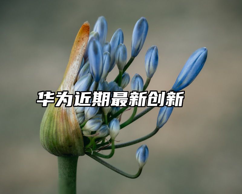 华为近期最新创新