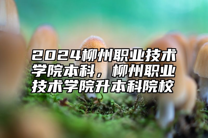 2024柳州职业技术学院本科，柳州职业技术学院升本科院校