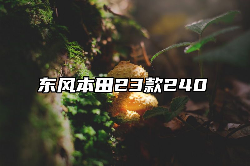 东风本田23款240
