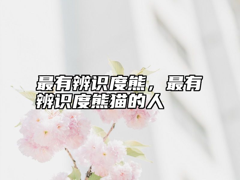 最有辨识度熊，最有辨识度熊猫的人