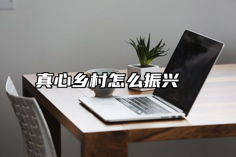 真心乡村怎么振兴