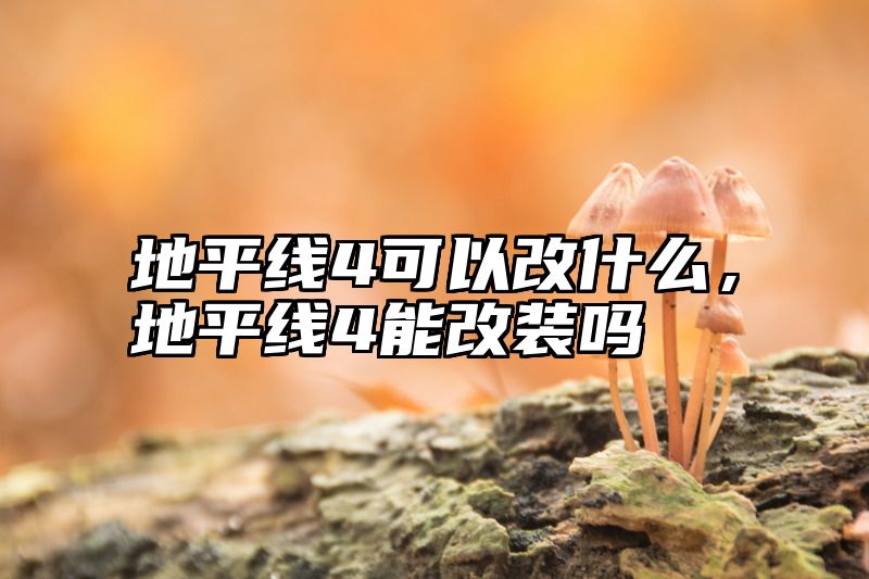 地平线4可以改什么，地平线4能改装吗