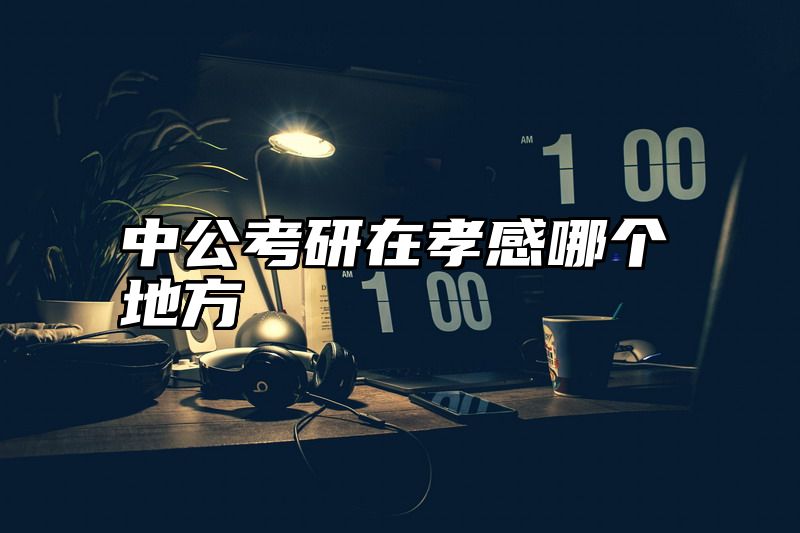 中公考研在孝感哪个地方