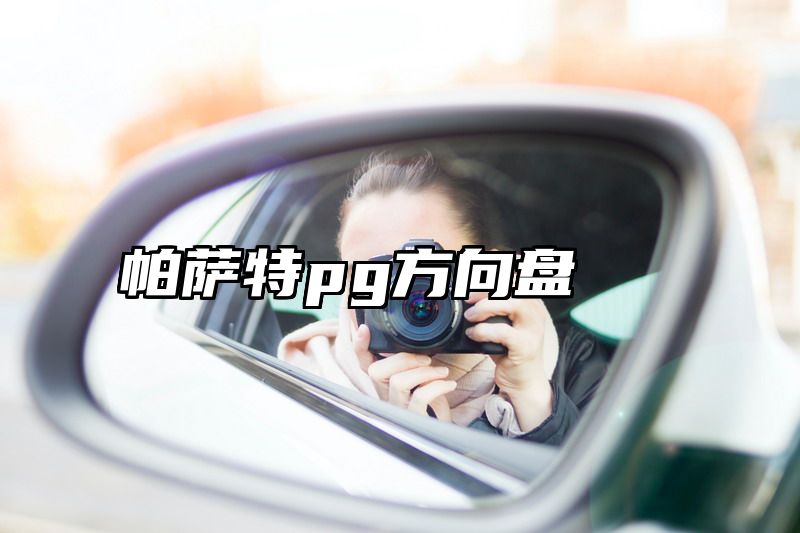 帕萨特pg方向盘