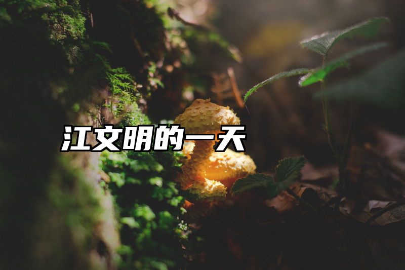 江文明的一天