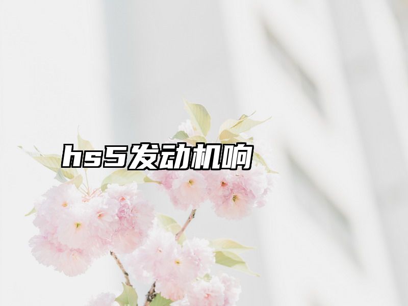 hs5发动机响