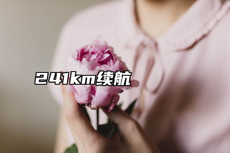 241km续航