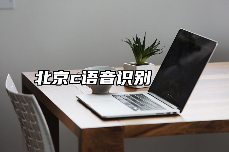 北京c语音识别