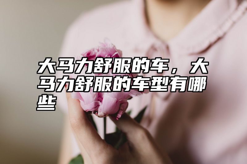大马力舒服的车，大马力舒服的车型有哪些