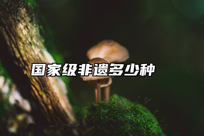 国家级非遗多少种