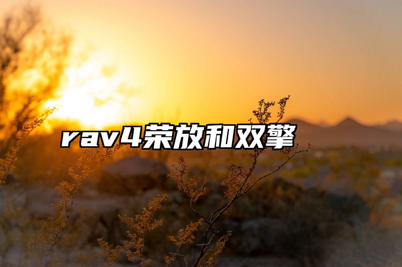 rav4荣放和双擎