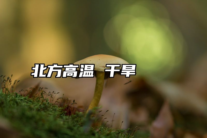 北方高温 干旱