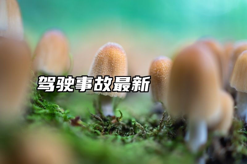驾驶事故最新