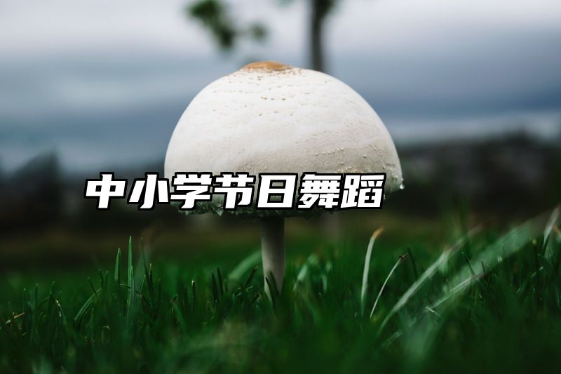 中小学节日舞蹈