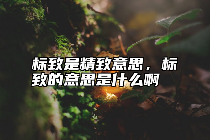标致是精致意思，标致的意思是什么啊
