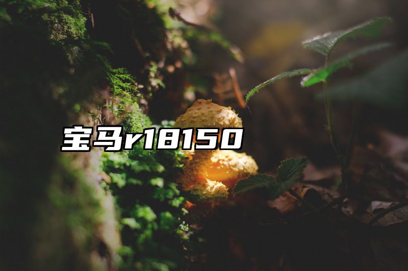 宝马r18150