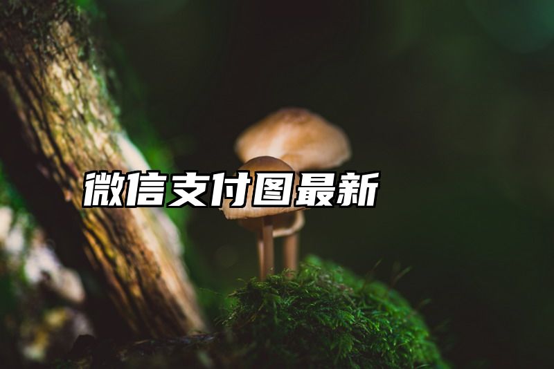 微信支付图最新