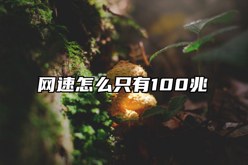 网速怎么只有100兆