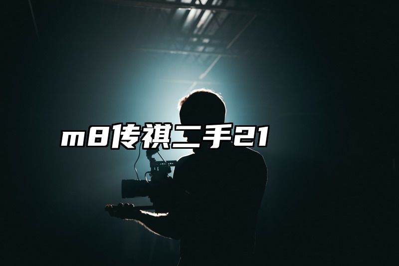 m8传祺二手21