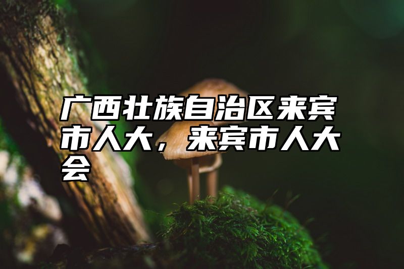 广西壮族自治区来宾市人大，来宾市人大会