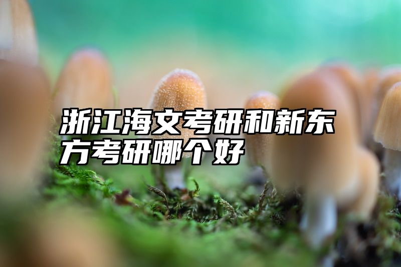 浙江海文考研和新东方考研哪个好
