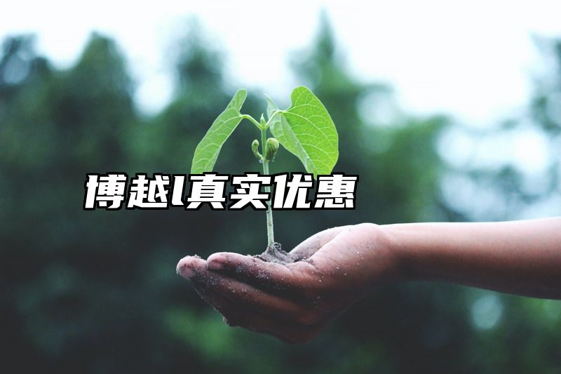博越l真实优惠