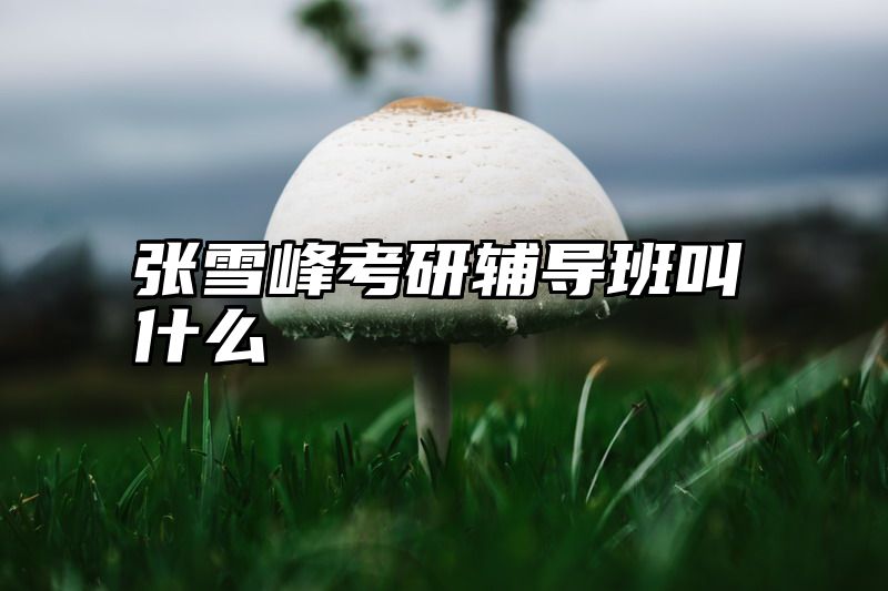 张雪峰考研辅导班叫什么