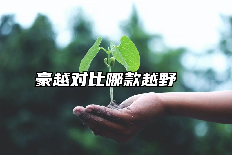 豪越对比哪款越野