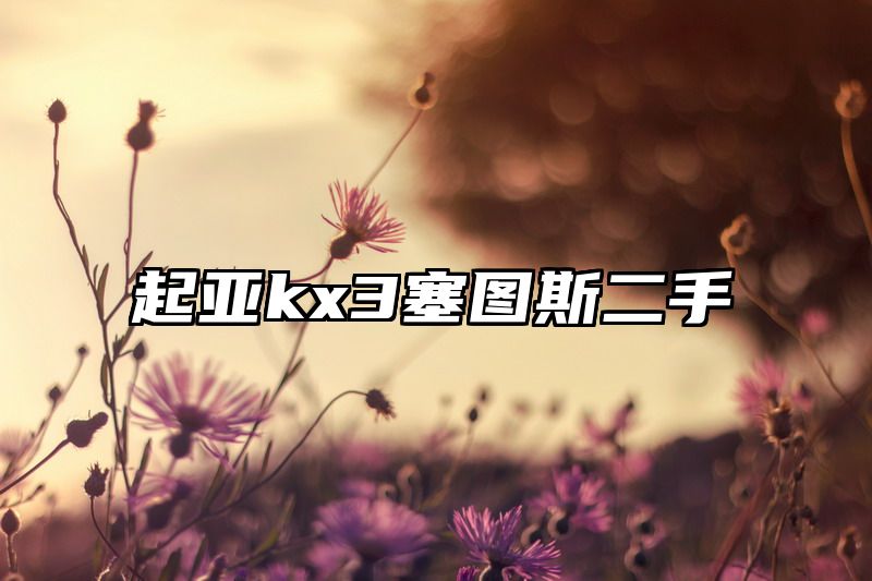 起亚kx3塞图斯二手
