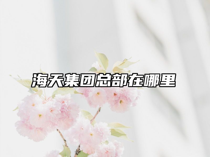 海天集团总部在哪里