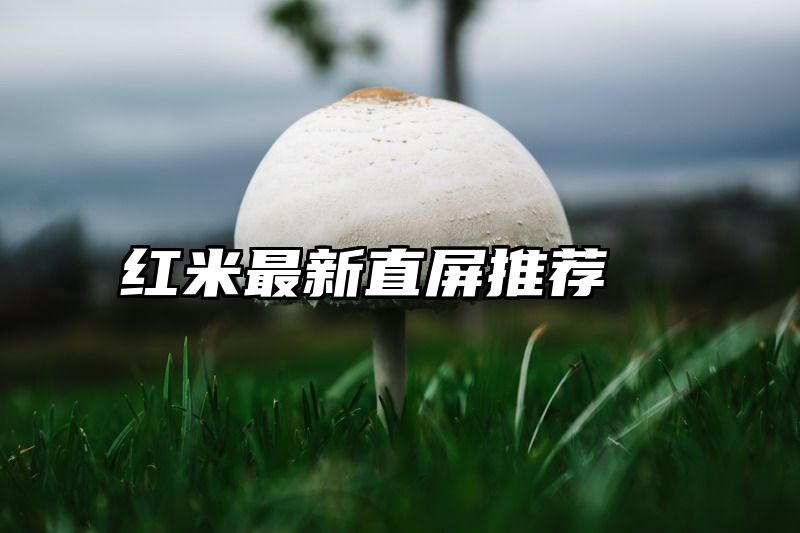 红米最新直屏推荐