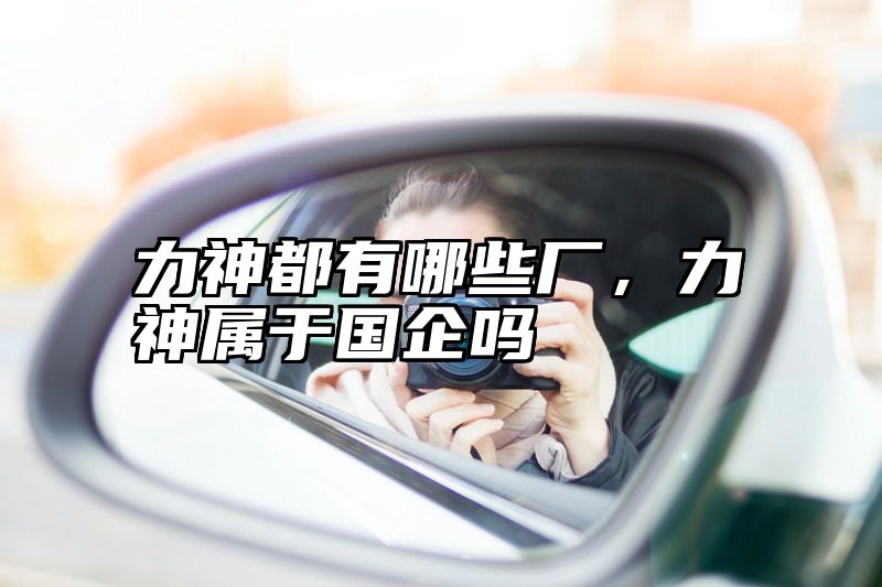 力神都有哪些厂，力神属于国企吗