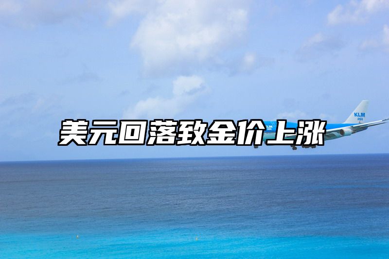 美元回落致金价上涨