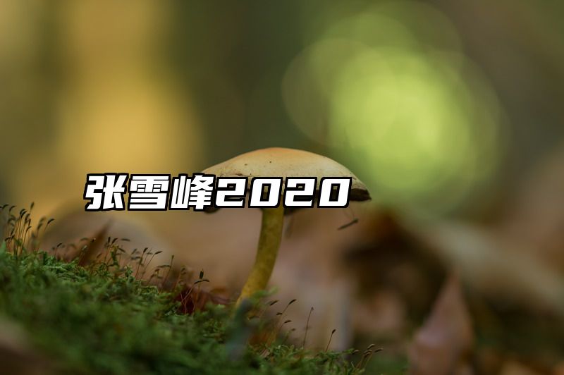 张雪峰2020