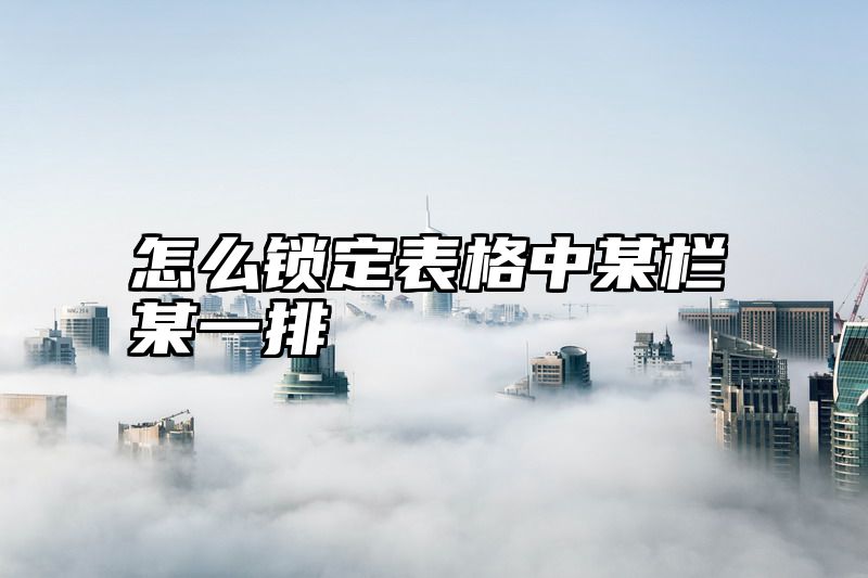 怎么锁定表格中某栏某一排
