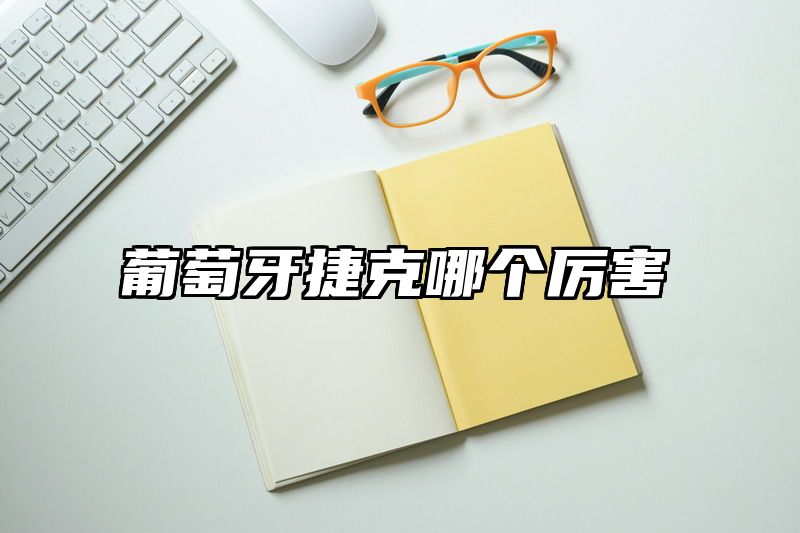 葡萄牙捷克哪个厉害