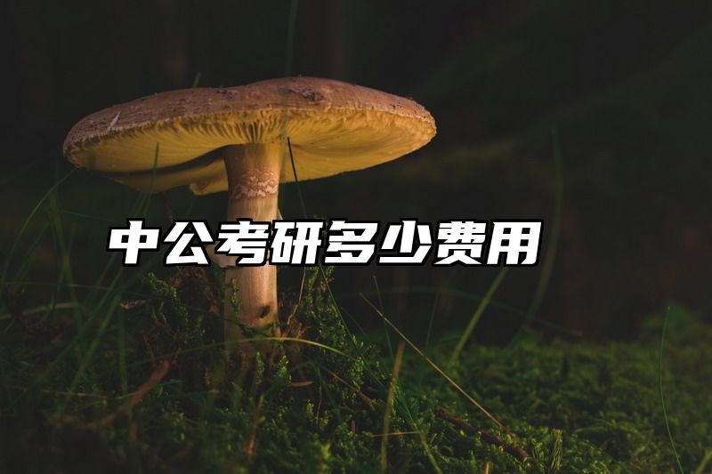 中公考研多少费用