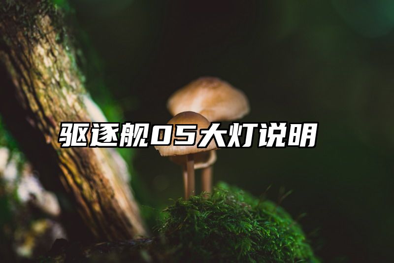 驱逐舰05大灯说明
