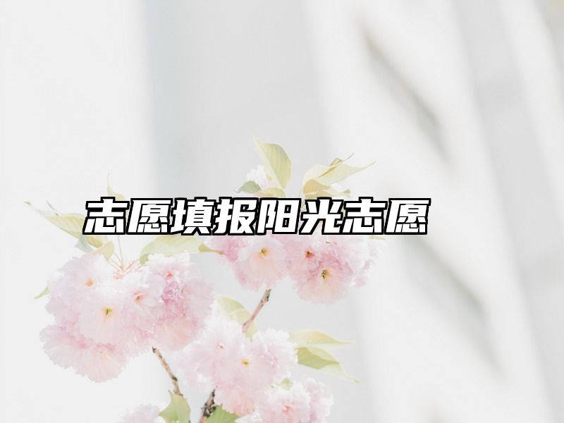 志愿填报阳光志愿